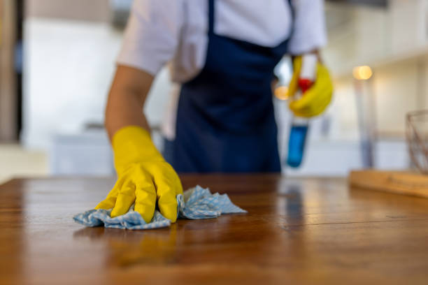 explore incredible house cleaning services in sydney