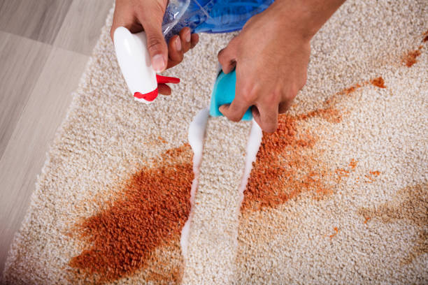 remove carpet stains with sydney house cleaners