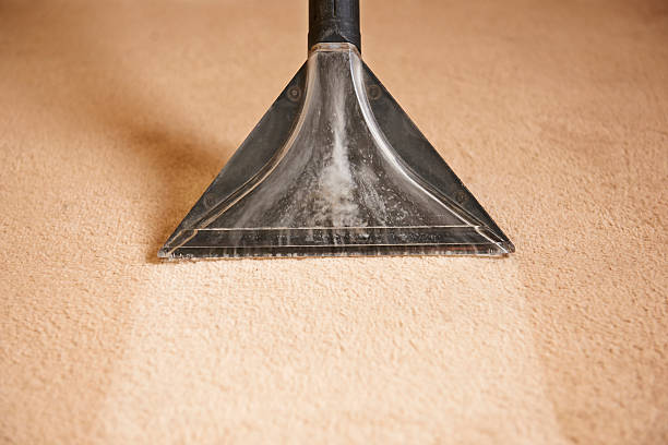 discover top notch carpet cleaning in sydney